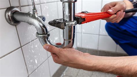 Choosing The Best Plumber For The Job Embark Project Services