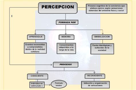 Mapas Mentales Y Conceptuales Sobre Percepción Cuadro Comparativo