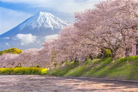 25 Interesting Mount Fuji Facts Thatll Blow Your Mind