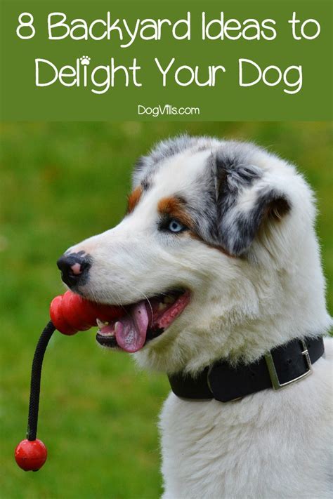 A wide variety of pet burial options are available to you, such as material, application, and type. 8 Dog-Friendly Backyard Ideas to Delight Your Pet- DogVills