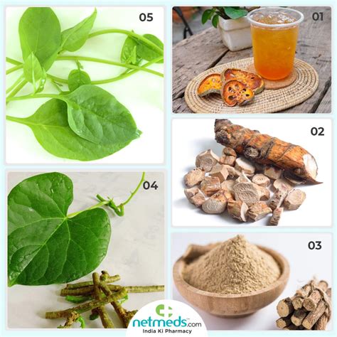 Ayurveda For Ulcerative Colitis Effective Natural Remedies To Treat