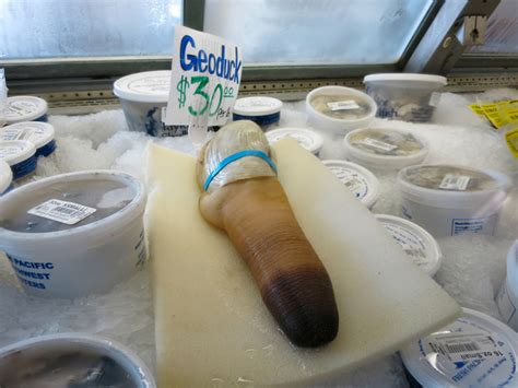 i finally ate geoduck—and you can too houstonia magazine