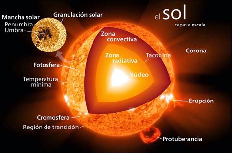 Qual O Peso Do Sol