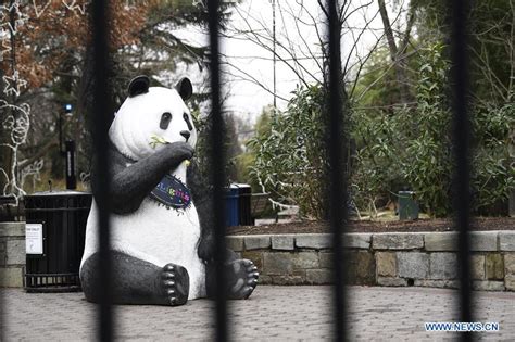 Americans Outraged As National Zoos Panda Cam Goes Dark Amid Govt