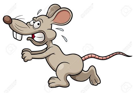 Love Pixars Ratatouille Then Get A Pet Rat 10 Reasons Why Animal Fair
