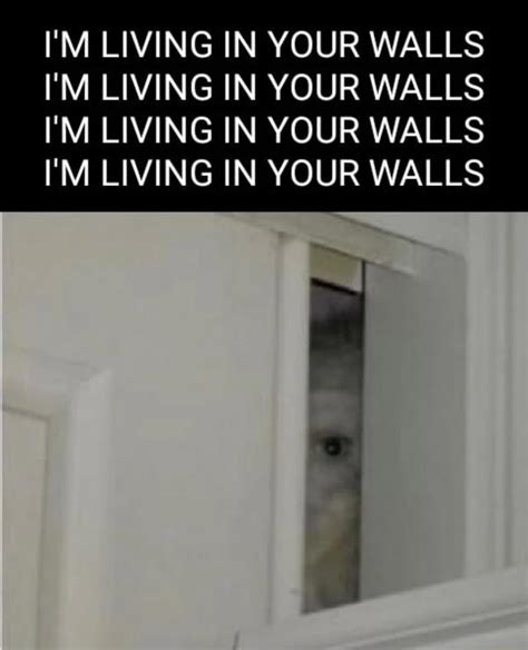 I Am Living In Your Walls Eye I Am Living In Your Walls Know Your Meme