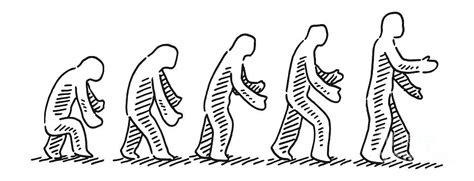 Human Evolution Concept Drawing Drawing By Frank Ramspott Fine Art