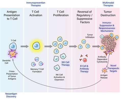 Cancer Moonshot Immuno Oncology Translational Network Iotn