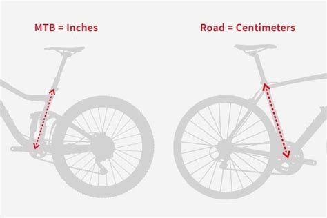 Bike Size Guide And Bike Frame Sizing Tredz Bikes