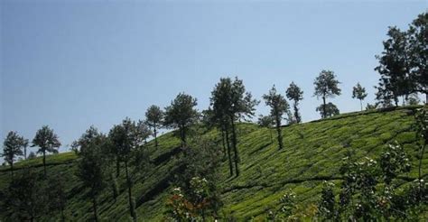 Short Trips To The Lap Of Nature In Thrissur Travel Destinations