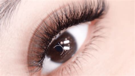 8 Things To Know Before Getting Eyelash Extensions Dreamlash