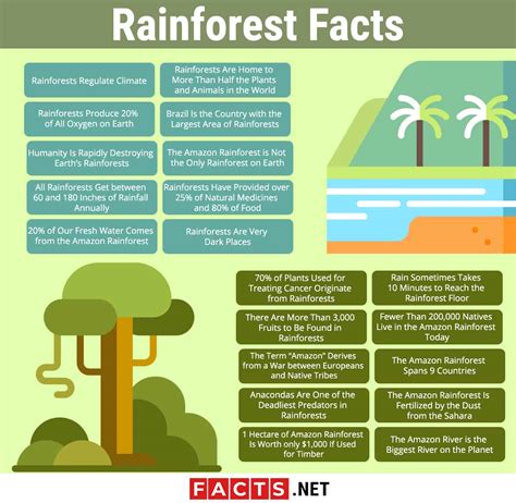 Tropical Rainforest Biome Facts