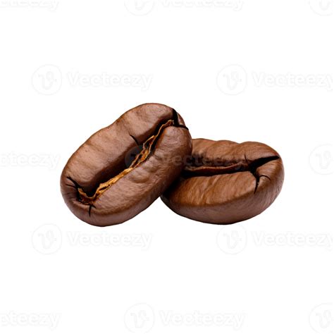 coffee bean png 33544673 png
