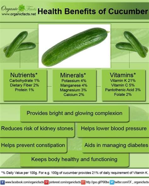 Health Benefits Of Cucumber Organic Facts Cucumber Health Benefits Cucumber Benefits