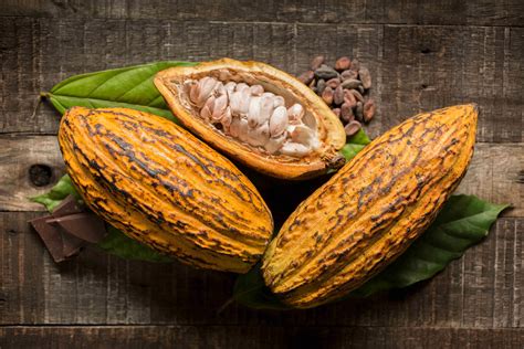 Bio Kakaobutter In Den Lavera Pflegeprodukten