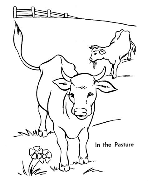 Printable Baby Cow Coloring Pages Select From 35450 Printable Crafts
