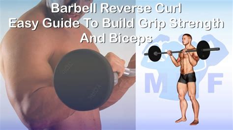 Barbell Reverse Curl Easy Guide To Build Grip Strength And Biceps