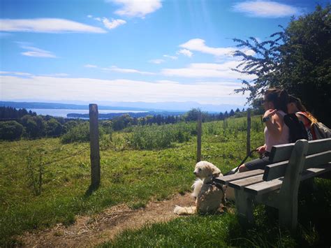We did not find results for: Wandern mit Hund: Über die Ilkahöhe zur Waldschmidtschlucht