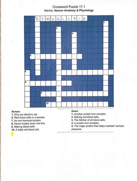 Crossword Puzzle 171 Marieb Human Anatomy And Physiology Across 1 Why