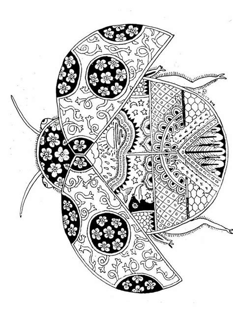 Ladybug Coloring Pages For Adults