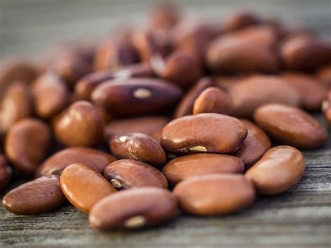 20 Ideas For Green Bean Seeds Best Recipes Ever