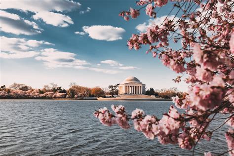 2019 National Cherry Blossom Festival In Washington Dc
