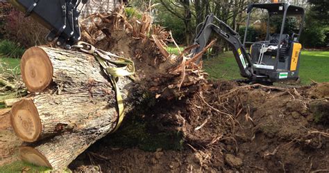 Stump Grinding Anb Groundcare