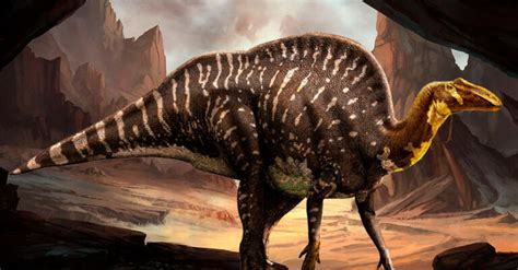 Hypacrosaurus Dinosaurioswiki
