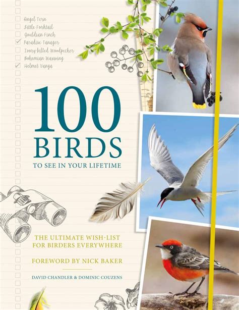 100 Birds To See In Your Lifetime The Ultimate Wish List For Birders