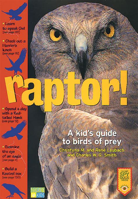 Raptor A Kids Guide To Birds Of Prey