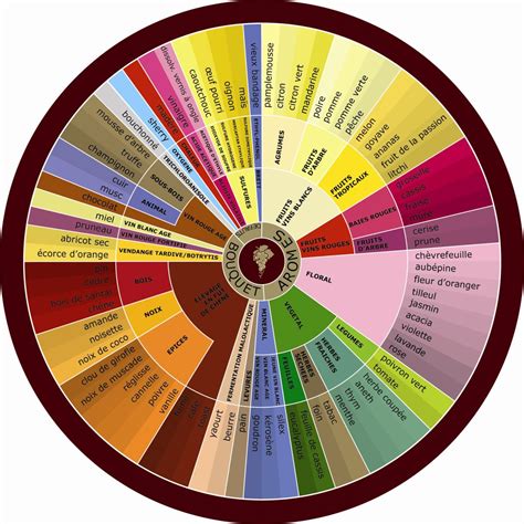 Descripteurs du vin | Vin, Carte des vins, Dégustation de vin