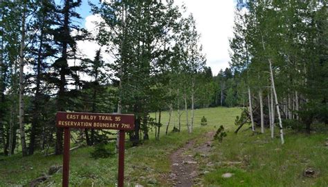 Maybe you would like to learn more about one of these? White Mountains - Greer Lodge Arizona
