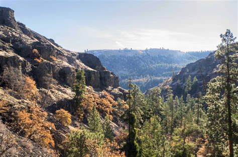 Bear Canyon — Washington Trails Association