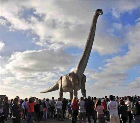 Patagotitan Mayorum New Study Describes The Biggest Dinosaur Ever