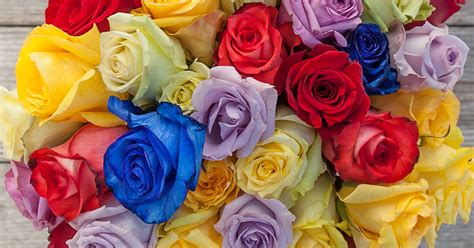 What Do The Colors Of Roses Mean Bouqs Blog