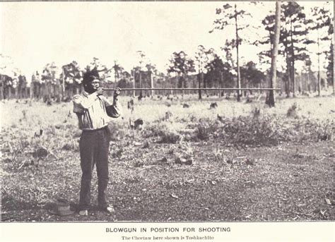The Choctaw Of Bayou Lacomb Access Genealogy