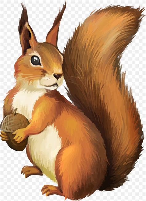 Squirrel Clip Art Png 2726x3750px Chipmunk Fauna Flying Squirrel
