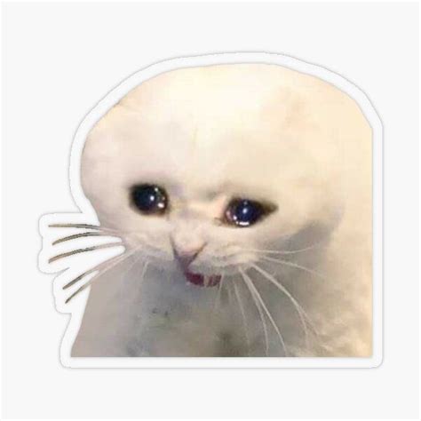 Crying Cat Meme Cat Memes Cats Meme Stickers My Xxx Hot Girl