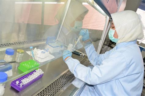 Ketika kita mengalami arti mimpi makan bersama orang yang sudah meninggal dunia maka akan sangat terkejut karena hal ini sama sekali tidak disangka sebelumnya, bahwa akan mimpi melihat orang mati menemui kita misalnya makan bersama ayah atau ibu yang sudah wafat. BPOM Beri Label Khusus Produk Obat dan Makanan yang ...