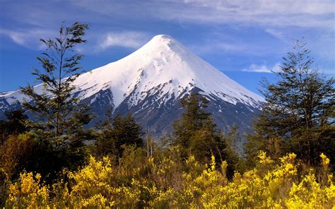 Snowy Peak Volcano Mountains Chile Trees Wildflowers Shrubs