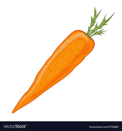 Large Orange Cartoon Carrot Isolated On White Vector Image