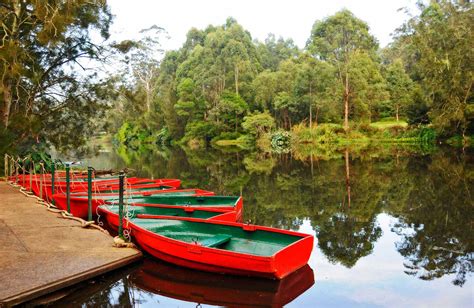 Staff friendly, pool was great, cabin comfortable and beds comfy. Social Bushwalk from Lane Cove to Hunter's Hill - The ...