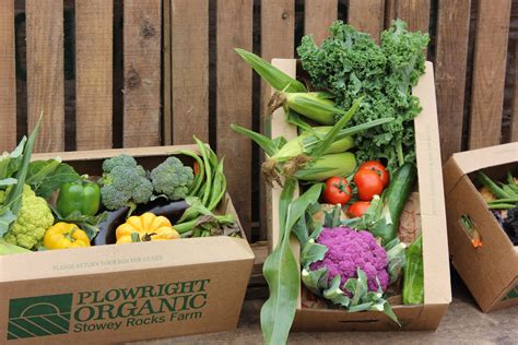 Plowright Organic Medium Veg Box