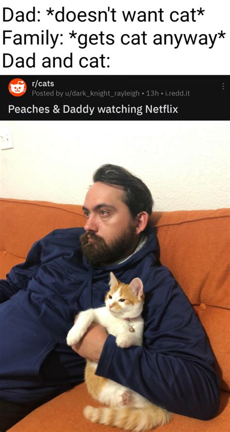 Dad And Cat Cat And Dad Rmemes