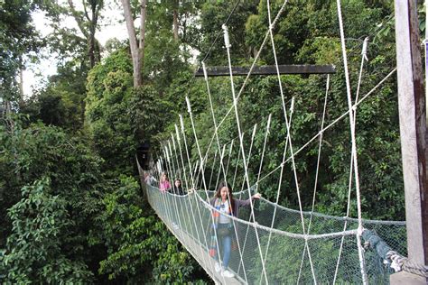 Ladang teh di sabah menghasilkan daun teh yang bermutu. 15 Tempat WAJIB di SABAH!! Masuk Serendah RM3! Masuk ...