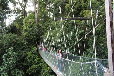 Canopy park, located at the topmost level (l5) of jewel, welcomes the young and young at heart with an array of exciting play attractions. Kinabalu Park Hot Spring Attractions - Poring Hot Spring ...