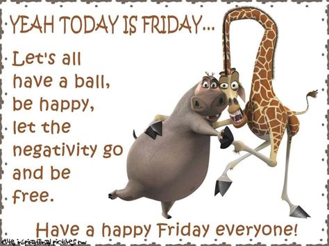 Yeah Today Is Friday Pictures Photos And Images For Facebook