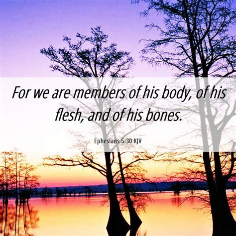 Ephesians 530 Kjv For We Are Members Of His Body Of His Flesh And