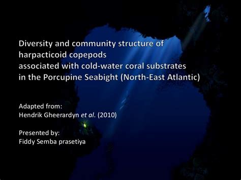 Diversity Copepods In Deep Sea Coral