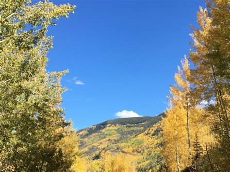 2020 Fall Foliage Peak Map When Leaves Are Best In Colorado Across